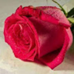 Meet your Posher, Cathy